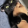 の写真