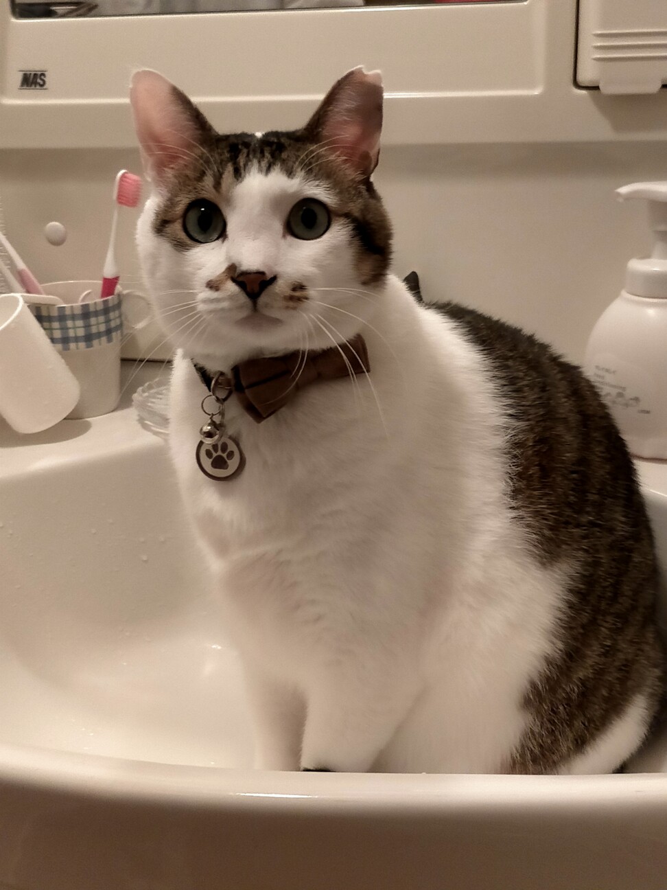 トラミ兄ちゃん