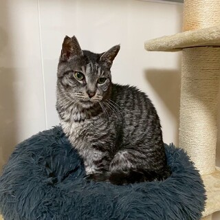 凛々しいお顔がハンサムな★隼人くん