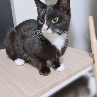 人懐っこい甘えん坊な女の子