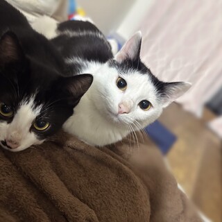 元気いっぱいおてんばな女の子(写真右側)