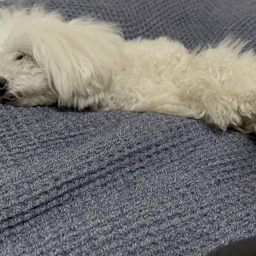 とこの写真