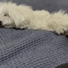 の写真