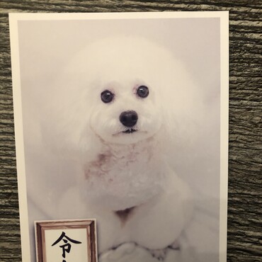 2024年頃のもの