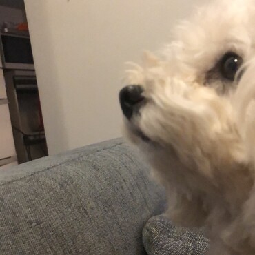 とこの写真