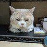 ドン•コルレオーネ