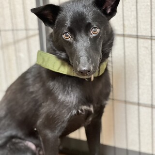 【少し内気な男の子】テツ(旧ガム)くん