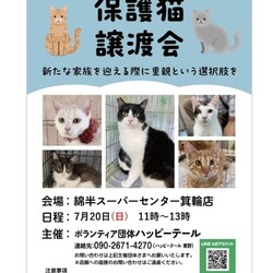 ハッピーテール保護猫譲渡会 サムネイル1