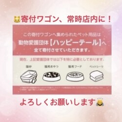 ハッピーテール保護猫譲渡会 サムネイル2