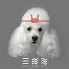 三昧