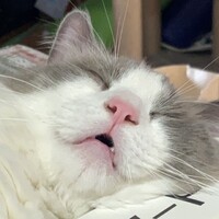 九