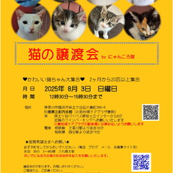 猫の譲渡会　by にゃんころ隊　8/3