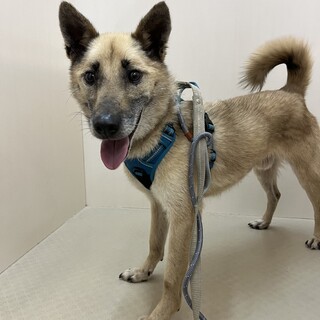 おっとりマイペースな【マイト】くん