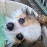 いまっちさんち