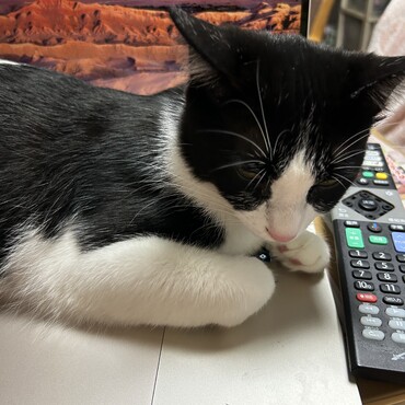 お仕事より私とあそぼ！はるちゃん