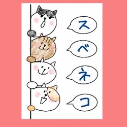 保護猫の譲渡会：名古屋市天白区で開催
