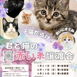 君と猫の赤い糸譲渡会