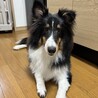 まろ