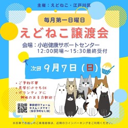 えどねこ譲渡会 江戸川区保健所（小岩健康サポートセンター）