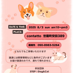 いぬねこ譲渡会