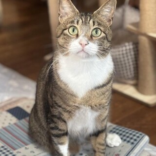 甘えん坊な　優海くん