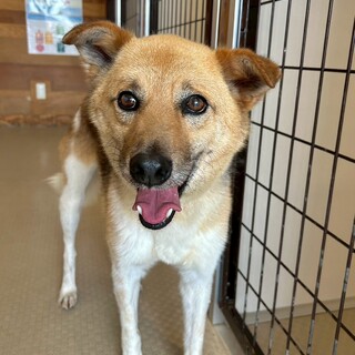 ぴょん耳が可愛い【スリム】くん