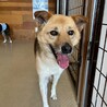 ぴょん耳が可愛い【スリム】くん サムネイル3
