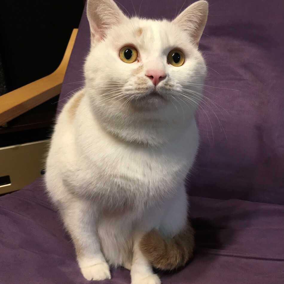 Jackのカバー写真