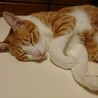 ぶんぶん母ちゃん