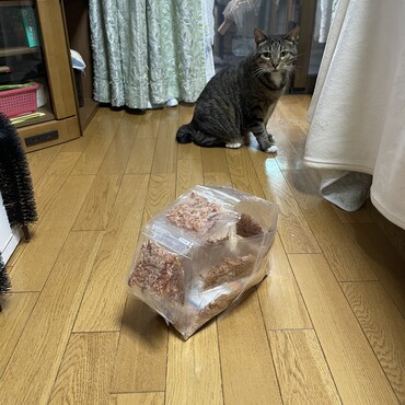 怪しい(・・;)
