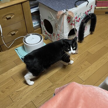 あたちの？壊していい？？