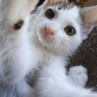 人懐っこい兄弟➁