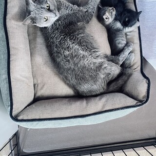 小柄な女の子です⭐︎