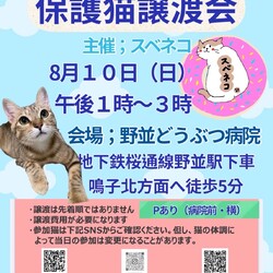 保護猫の譲渡会：名古屋市天白区で開催