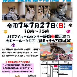 保護ニャンコの譲渡会ｂｙ静岡市清水区