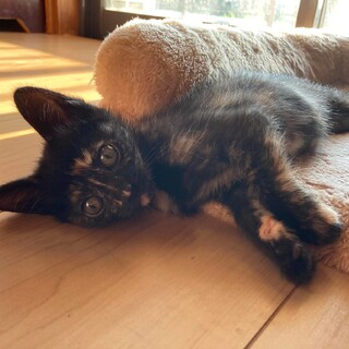 天然キャラでおとぼけ甘えん坊！