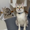 里親さん決定しました サムネイル7