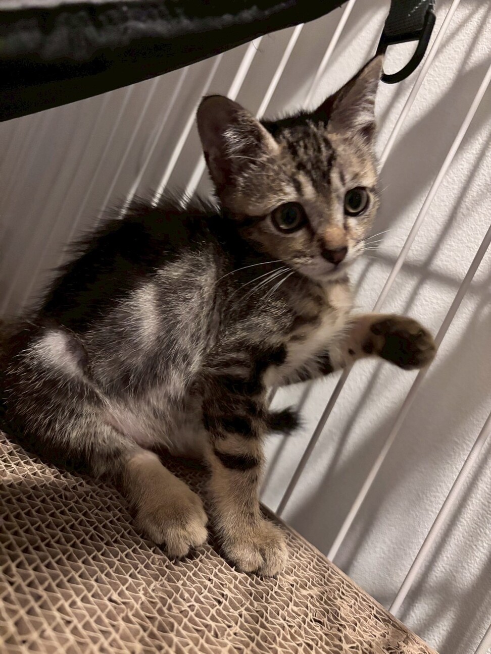 【控えめな性格の持ち主】ちーちゃん サムネイル3