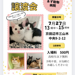 ねこの譲渡会＠京田辺市