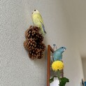 里親さん決定しました