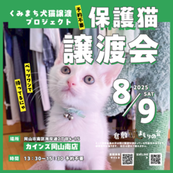 保護猫譲渡会（予約不要）