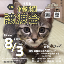 保護猫譲渡会（予約制）