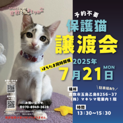 保護猫譲渡会（予約不要）