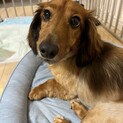 里親様が決まりました。
