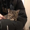 なつきです