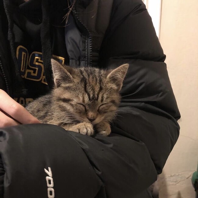 なつきですのカバー写真