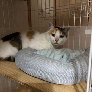 何年も過酷な港で頑張ったふうちゃん