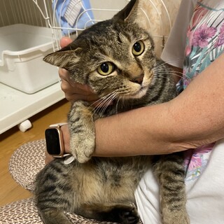 甘えん坊のかまってちゃん