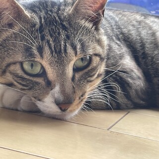 白血病➕の人なつっこい甘えん坊の男の子