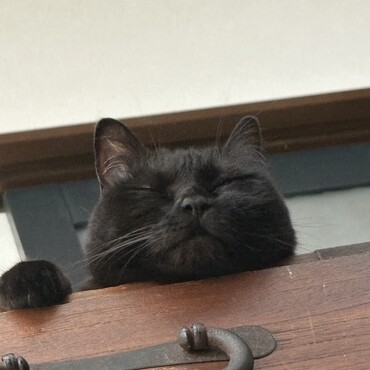 の写真